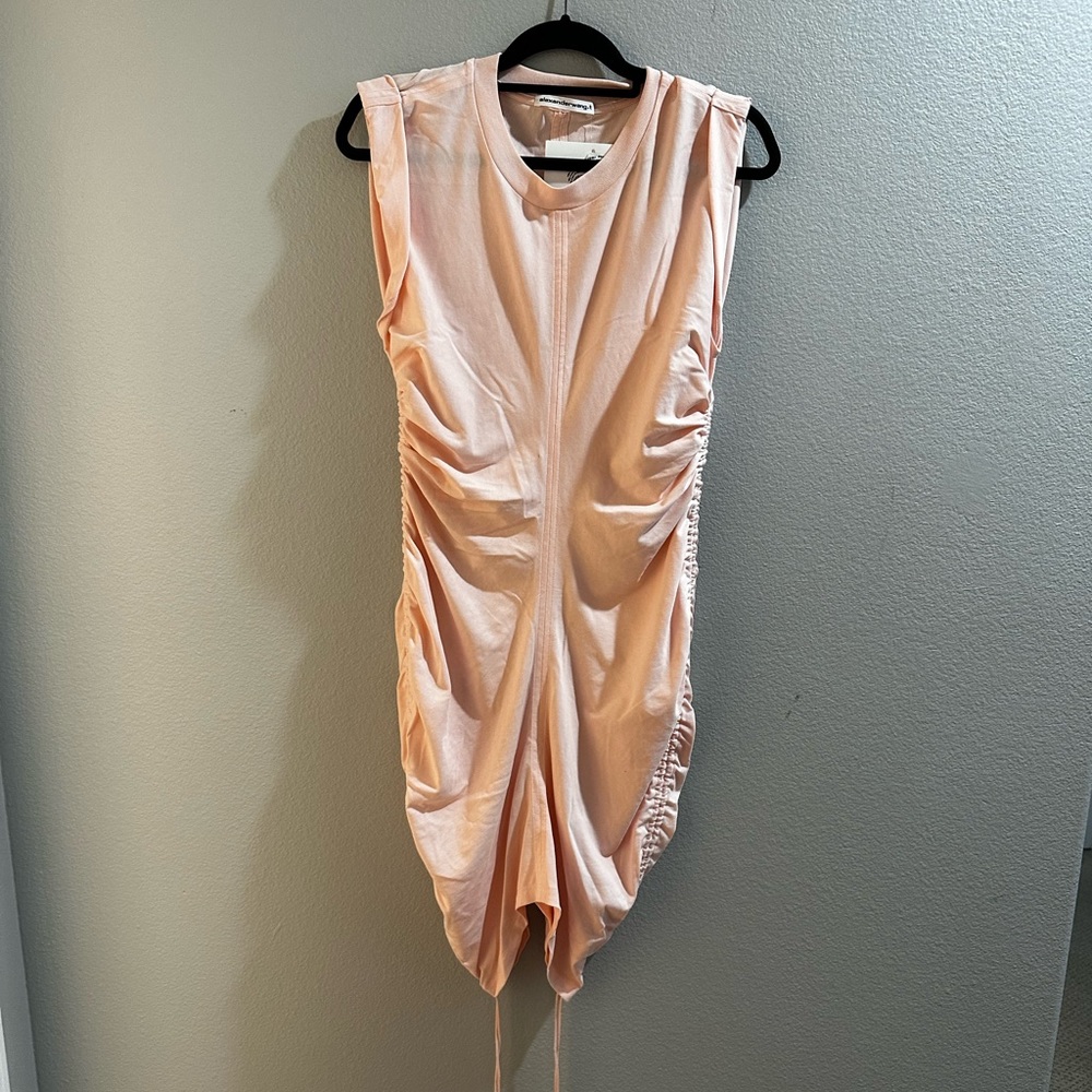 Alexander Wang Dress
